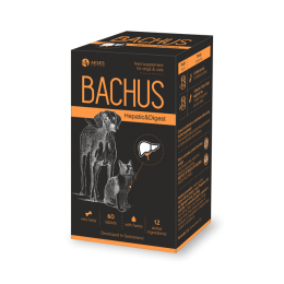 Bachus Hepatic&Digest pašaro papildas šunims ir katėms 60tab.