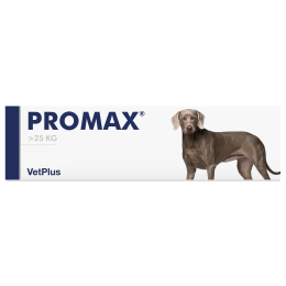 Promax Large Breed - papildas gerinantis virškinimą šunims 30ml