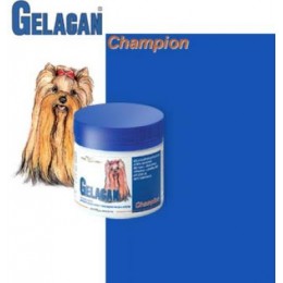 GELACAN CHAMPION COLOR ( SPALVOTIEMS) 150g