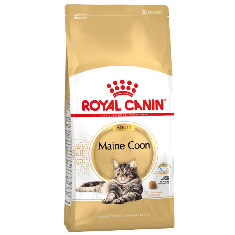 Royal Canin Maine Coon pašaras katėms