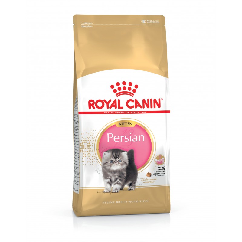 Royal Canin Persian Kitten maistas kačiukas