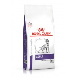 Royal Canin Medium Adult Dog 10kg 